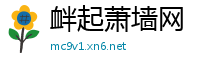 衅起萧墙网